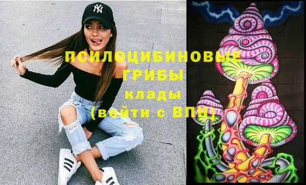 PSILOCYBIN Балахна
