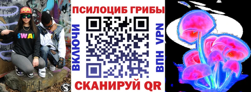 блэк спрут онион  Пласт  Галлюциногенные грибы Psilocybe 